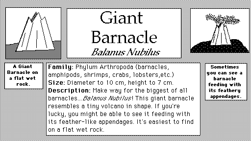 Giant_Barnacle